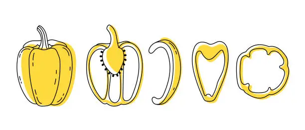 Vector illustration of Set of doodle outline bell pepper with spots. Whole and pieces.