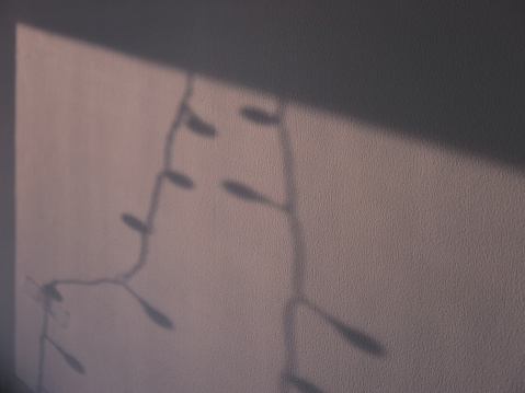 Shadow of a Christmas lamp in the afternoon. Sunlight made a long shadow trace of the lamp on a kitchen window.