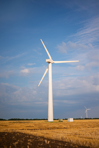 Wind Turbine Energy Propeller in a wheat field (wind power generator or windmill) on backdrop of blue sky, producing clean energy in a wind farm.