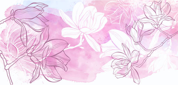 ilustrações, clipart, desenhos animados e ícones de vetor de fundo botânico de arte. design luxuoso com flores magnólias e respingo de aquarela. design de modelo para texto, embalagem e impressões. - magnolia white pink blossom