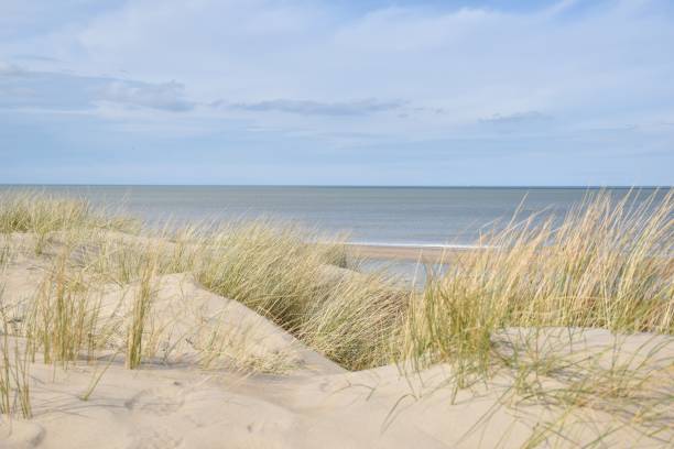 istock Dunes at Dunkirk beach, France 1386703334