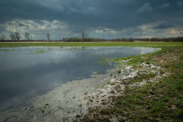 istock Rainwater on the meadow and cloudy sky 1386703466