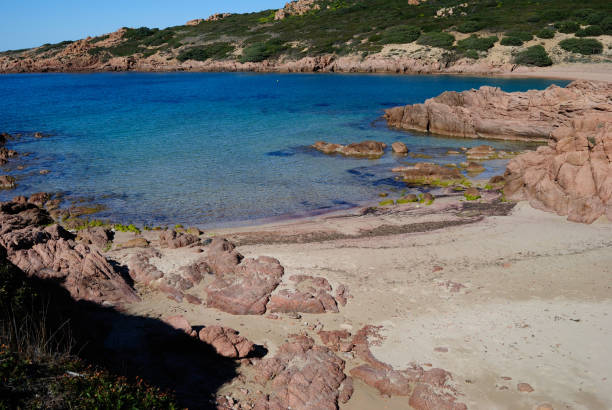 istock Veduta della spiaggia di Cala Sarraina 1386704939