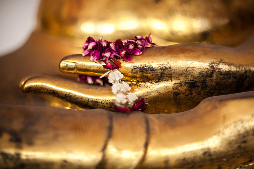 Hand of Golden buddha statue with flower at Wat Pho Temple, Bangkok, Thailand
