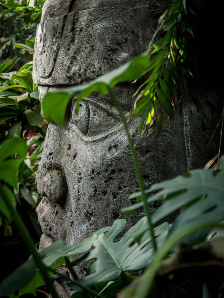 Olmec sculpture carved from stone. Mayan symbol - Big stone head statue in a jungle. High quality FullHD footage.