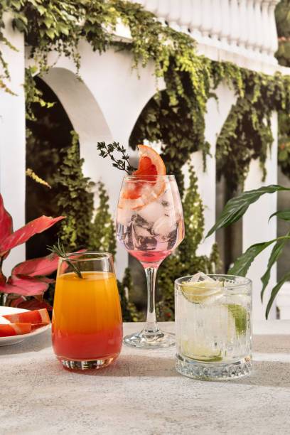 Cocktails Paloma, Tequila Sunrise, Gin and tonic. Refreshing summer cocktails with ice and thyme.