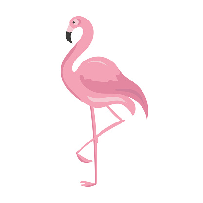 One pink flamingo