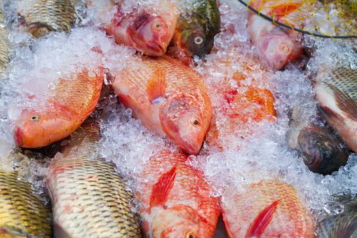 Thai fishes on ice at market stall in Bangkok