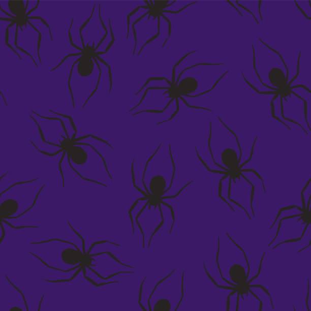 ilustrações de stock, clip art, desenhos animados e ícones de colored pattern with spider for halloween party - silhouette spider tarantula backgrounds