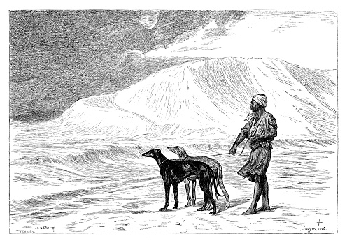 Man walking his greyhounds in the desert - Scanned Engraving