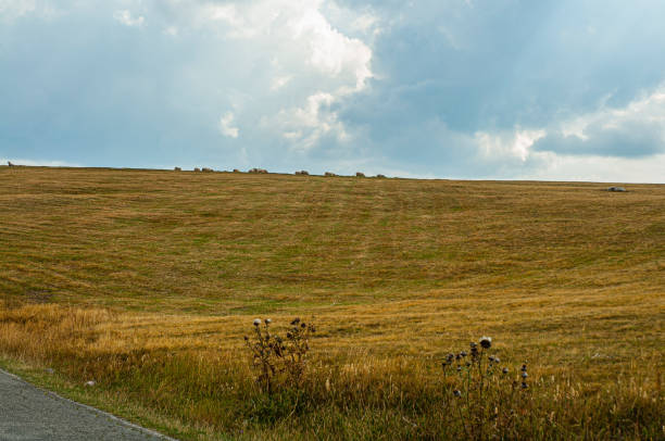 istock Durmitor Mountain in Montenegro, Europe 1386719554