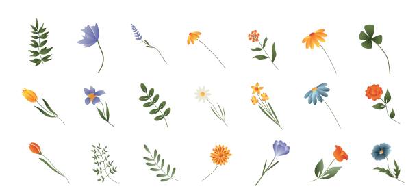 istock Set of vector illustrations of colorful spring flowers , gradient. Bright flowers and green plants set 1386725744