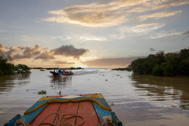 istock visiting on boat tonle sap lake at sunset between mangroves trees 1386726799