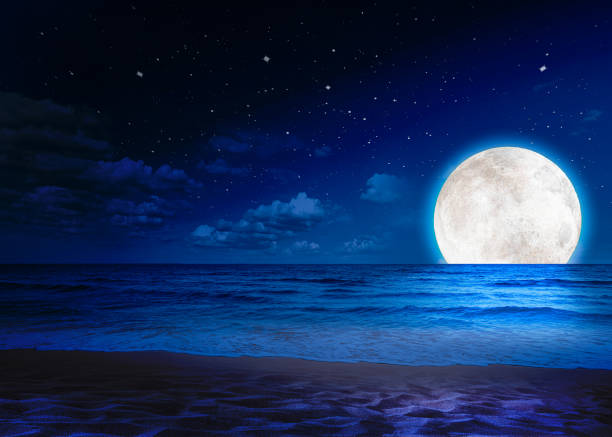 istock Beach, sea and moon in blue space. 1386727150