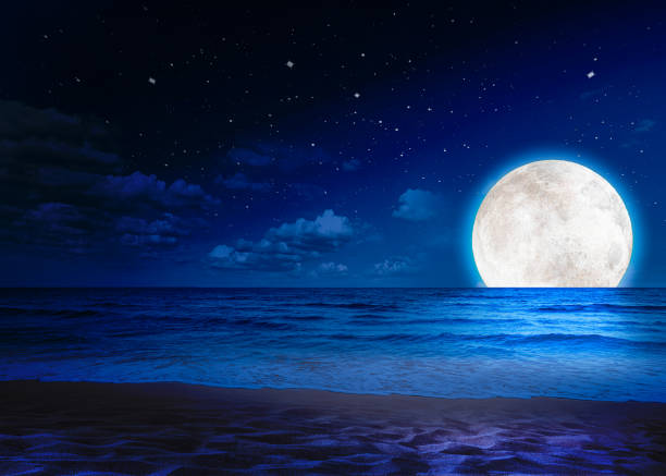 Beach, sea and moon in blue space. Amazing view of the blue color in the sky. Background night sky with stars, moon and sand-beach. The image of the moon of incomparable beauty. 3D Rendering. fantasy moonlight beach stock pictures, royalty-free photos & images