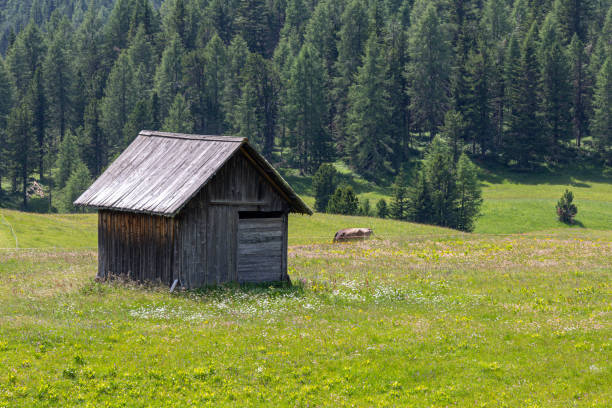 istock Italian alpine pastures 1386727328