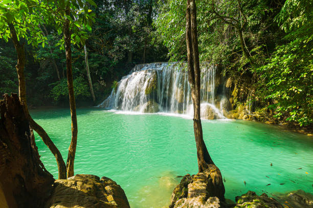 istock waterfall,Forest and waterfall at Ton Nga Chang Waterfall, Songkhla, Thailand. 1386733115