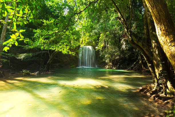 istock waterfall,Forest and waterfall at Ton Nga Chang Waterfall, Songkhla, Thailand. 1386733154