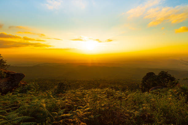mountains and sky at sunset,Mountains in clouds at sunrise in summer. Aerial view of mountain peak in fog. Beautiful landscape with high rocks, forest, sky. Top view from drone of mountain valley in low clouds. Foggy hills montañas y cielo al atardecer,montañas en nubes al amanecer en verano. vista aérea del pico de la montaña en la niebla. hermoso paisaje con altas rocas, bosque, cielo. vista superior desde el dron del valle de la montaña en nubes bajas. colinas brumos