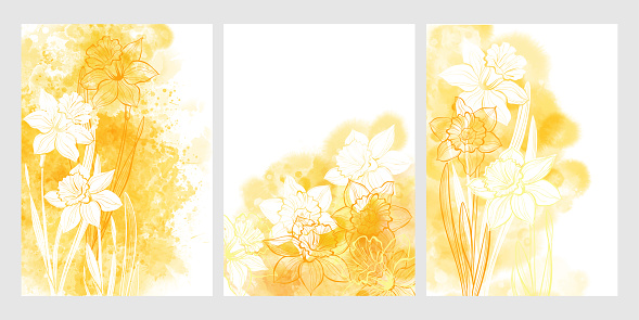 Art botanical background vector. Luxury design with daffodil flowers  and yellow watercolor splash. Template design for text, packaging and prints. Spring Theme. Three different versions