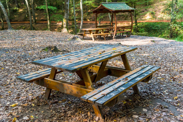 istock Wooden picnic table in forest at springtime 1386736200