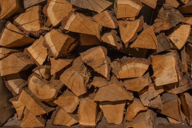 Esto es mucha leña marrón. Este es un fondo texturizado de madera. - foto de stock