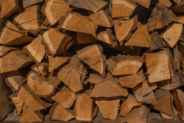 To dużo brązowego drewna opałowego. Jest to drewniane teksturowane tło. – zdjęcie