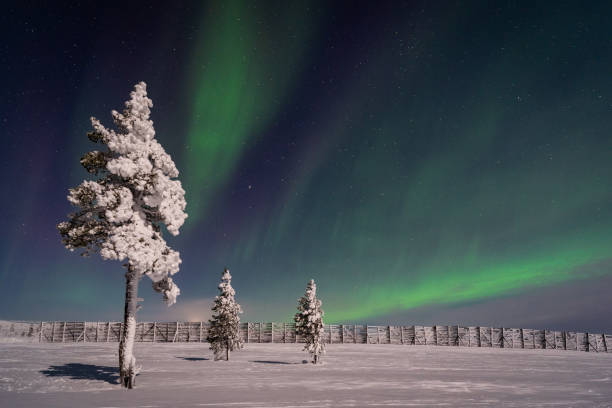 istock Northern lights over Lapland 1386741339