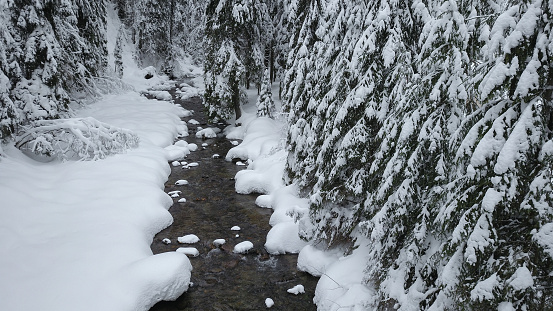 Panorama of frozen Jiet river flowing through a snowed coniferous forest. Winter Season, Carpathia, Romania.