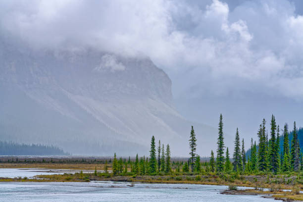 istock Jasper National Park in Alberta Canada 1386750773