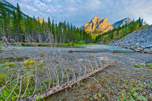 Mountain views along the Kananaskis River in Kananaskis Provincial Park
