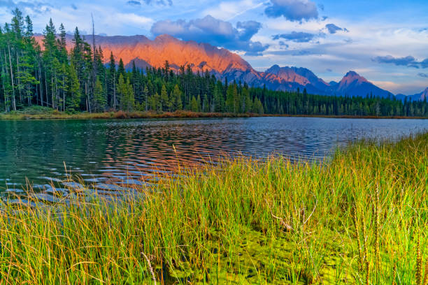 istock Kananaskis Provincial Park in Alberta Canada 1386751140