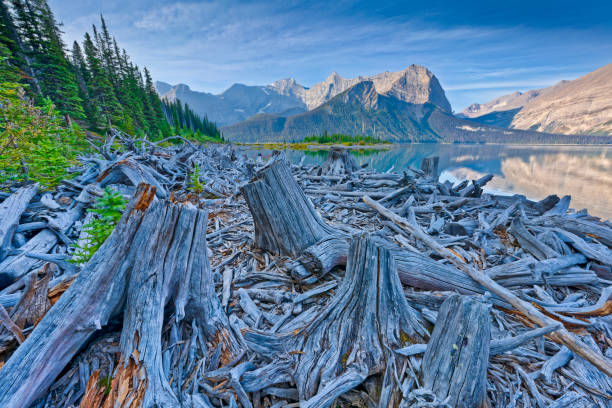 Upper Kananaskis Lake in Kananaskis Provincial Park in Alberta Canada