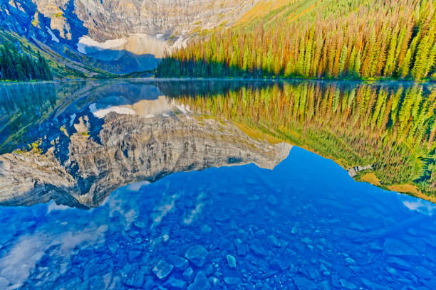 Rawson Lake and marsh land in Kananaskis Provincial Park in Alberta Canada