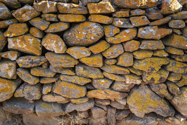 istock Stone wall with orange lichens as a texture, sardinia wall 1386752083