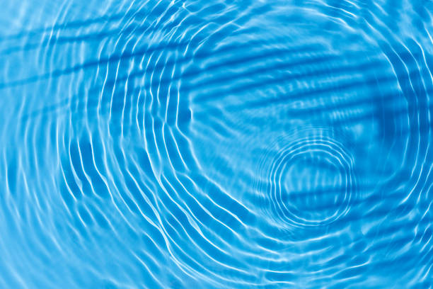 istock Shadow of tropical leaf palm tree, drop on blue water background. Top view, flat lay 1386753241