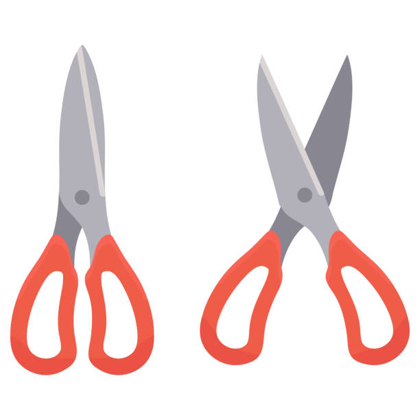 ilustrações de stock, clip art, desenhos animados e ícones de two scissors set with red handles. items isolated on white background.flet vector illustration. - poultry shears