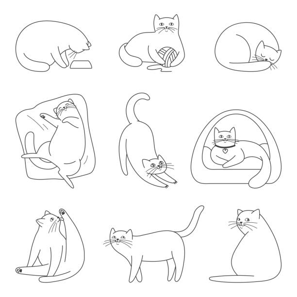 ilustrações de stock, clip art, desenhos animados e ícones de set of cute cats isolated on white background. cats of different breeds with toys and food.line art vector illustration. - undomesticated cat white background pattern isolated