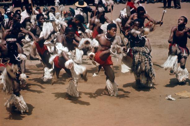 young zulu men performing a traditional group dance, south africa - zulu african descent africa dancing imagens e fotografias de stock