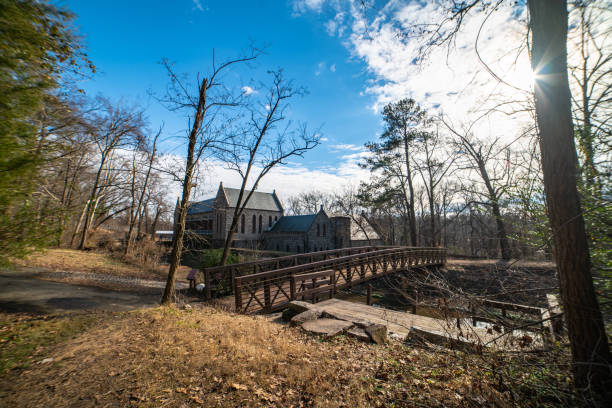 Wooden bridge in the woods