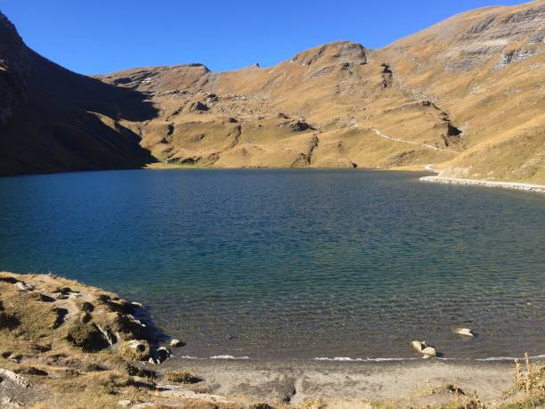 istock Swiss - Grindelwald - bachalpsee 1386762226
