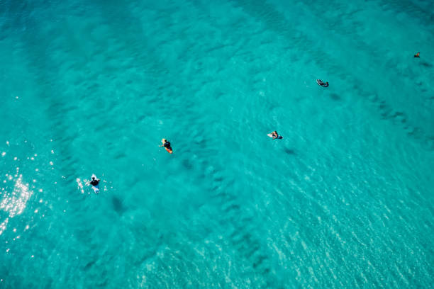 istock Surfers in blue transparent ocean waiting wave. Aerial view 1386772655