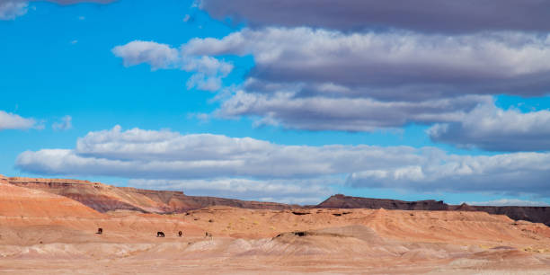 istock Red Rock Views in Utah 1386773856