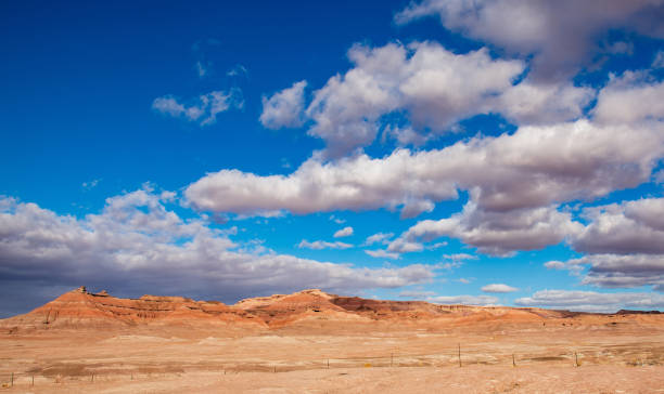 istock Red Rock Views in Utah 1386773880