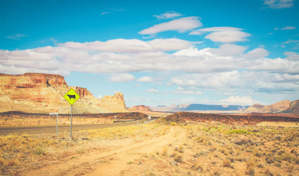 istock Red Rock Views in Utah 1386774121