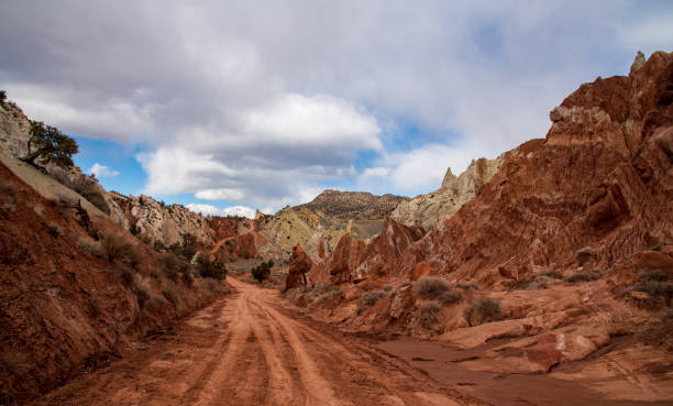 istock Red Rock Views in Utah 1386774729
