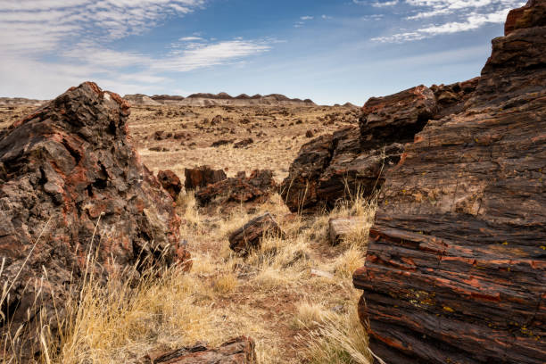 istock Broken Petrified Log With Badlands In The Distance 1386779828