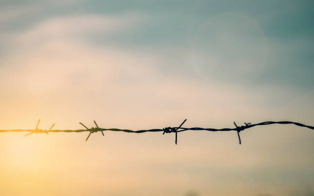 barbed wire fence with sunset twilight sky. chain with spike for safety and security boundary concept for human rights slave, prison hostage hope to freedom. international liberty day. russia ukraine - day to sunset imagens e fotografias de stock