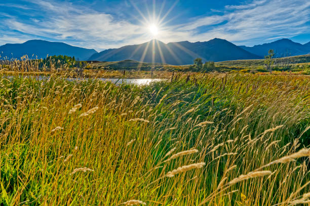 istock Waterton National Park in Alberta Canada 1386798570