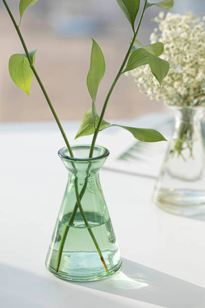 istock Ruscus Green in glass bottle 1386811250